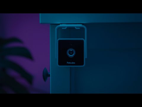 Introducing Petcube Cam - All-new Affordable Pet Camera With a Built-in Vet Chat
