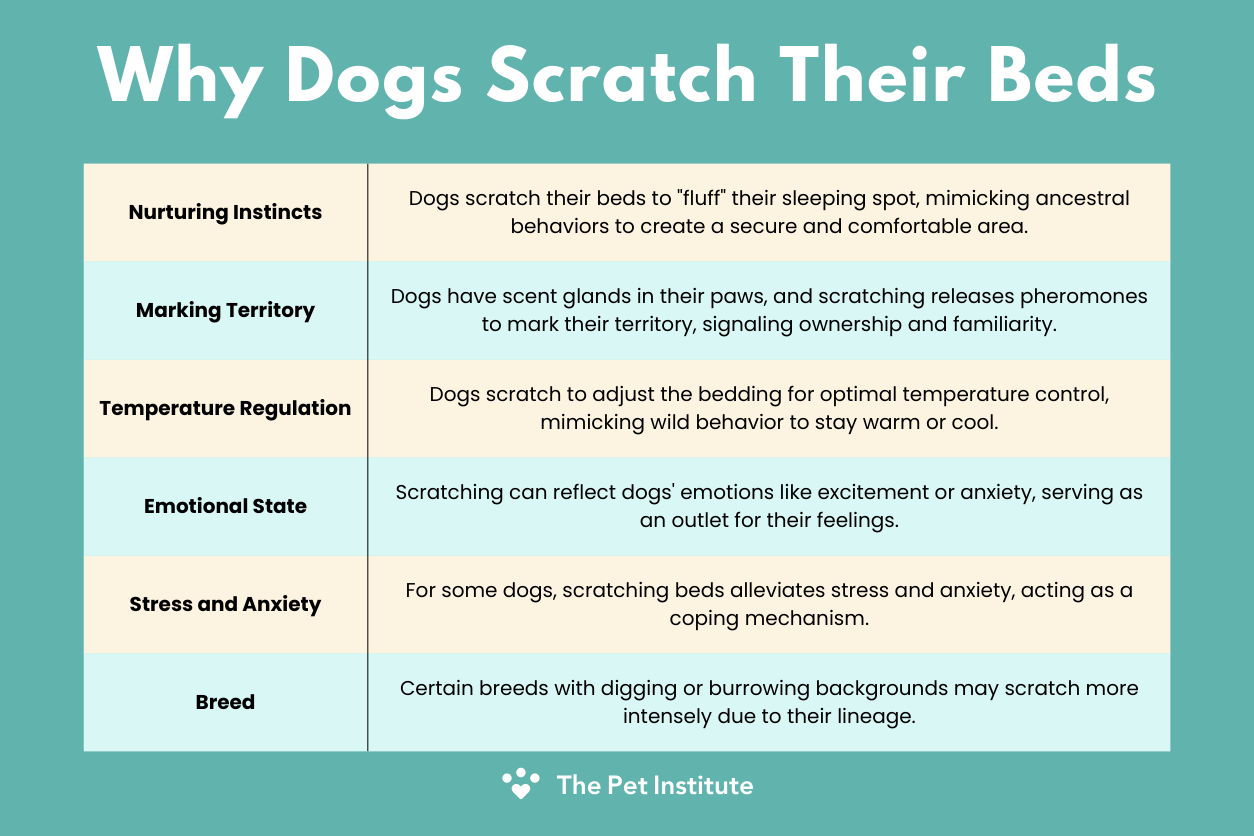 why do dogs scratch their heads