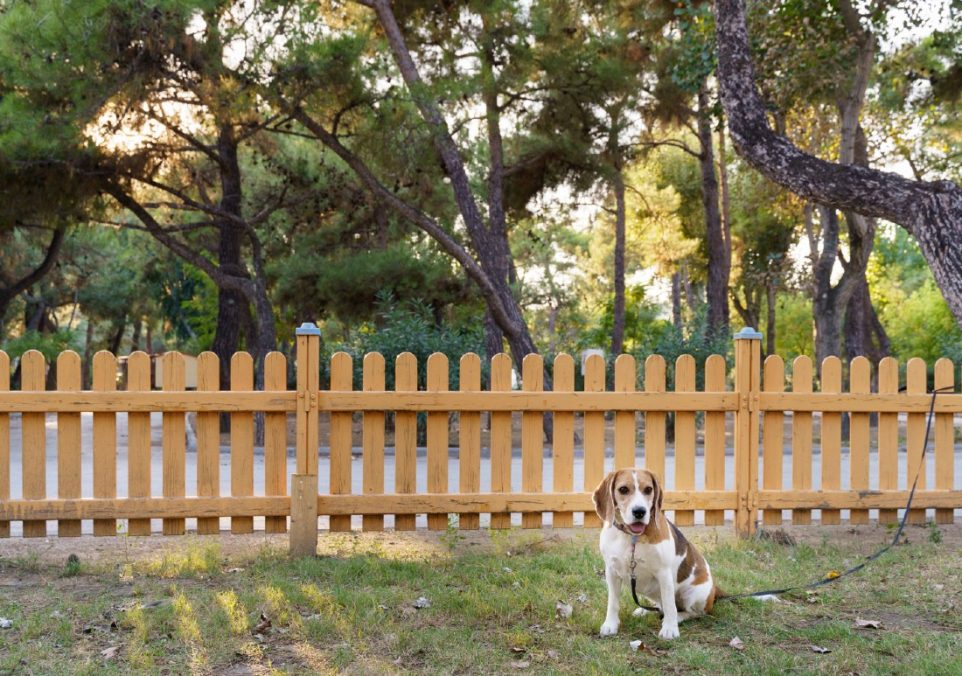 diy dog fence