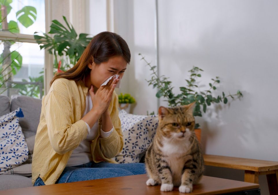 how to get rid of cat allergies naturally