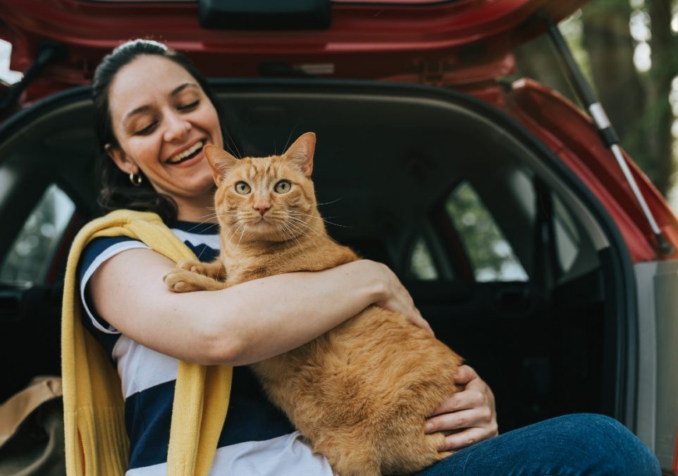 travelling with a cat