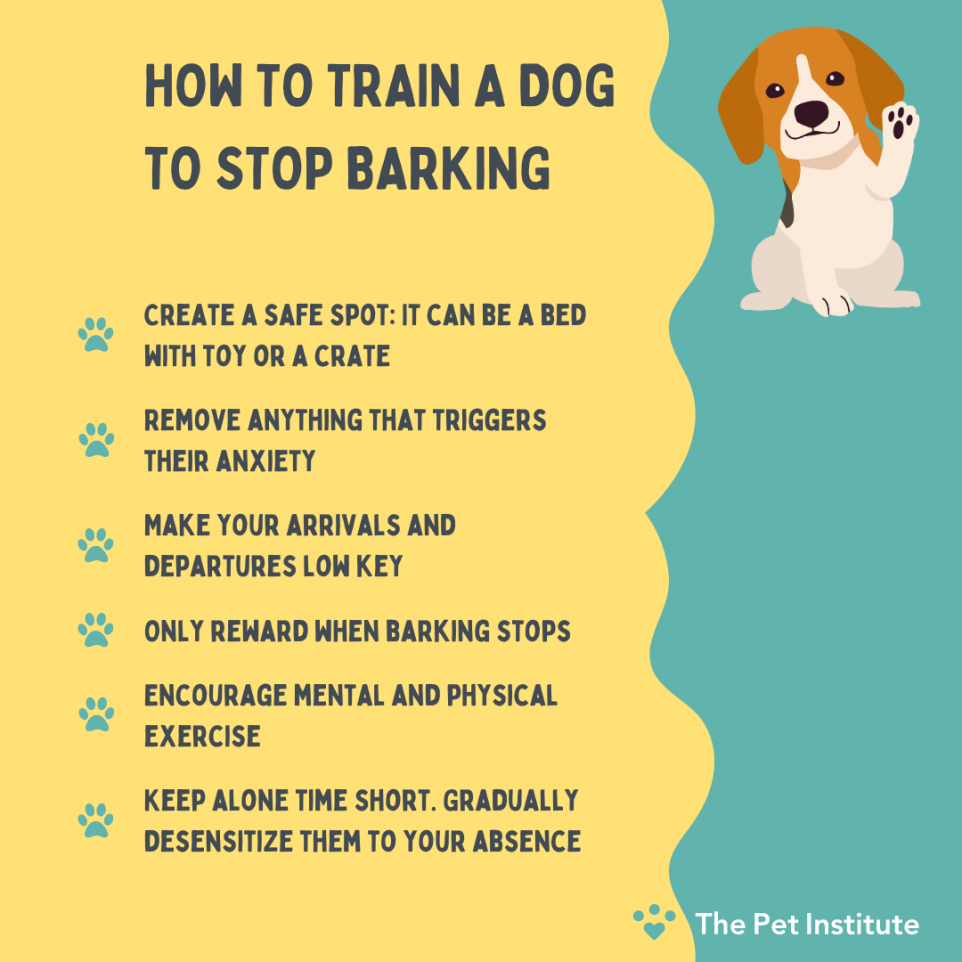 how to train a dog to stop barking