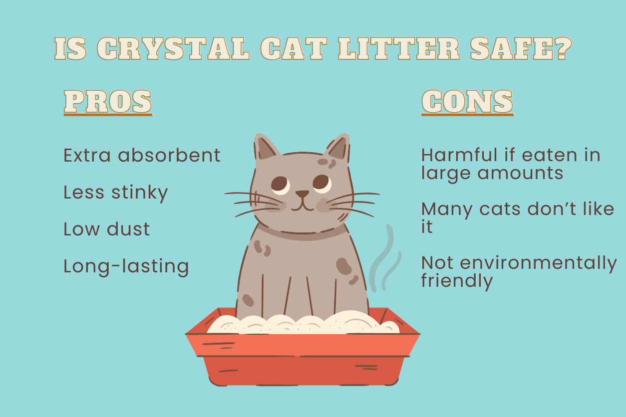 Is Crystal Cat Litter Safe?